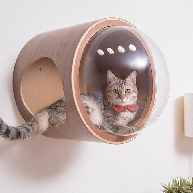 猫 キャットウォーク キャットステップ ベッド ハウス キャットステップ MYZOO マイズー Spaceship Gamma Wood 宇宙船 ガンマ ウッド